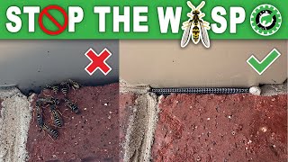 STOP THE WASPS! Prevent Wasp Nests by Adding Weep Hole Covers!