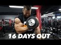 BODYBUILDING MOTIVATION - REGAN GRIMES 16 DAYS OUT
