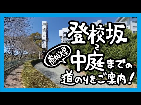 美術学科 登校坂～中庭までの道のりをご案内！