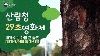 [#29초영화제] 내가 쉬는 가장 큰 숲은 [내가 있어야 할  자리]이다