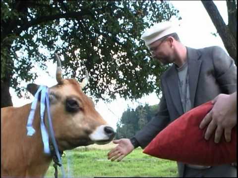 Krleš - Kráv'n'roll