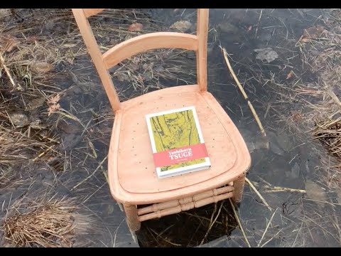 The Swamp by Yoshiharu Tsuge: An Interview with Ryan Holmberg