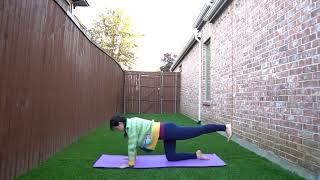 初级孕期瑜伽 -  孕早期，孕中期，孕晚期 - 详细跟练课程-有效缓解妊娠反应 孕反 腰痛 坐骨神经痛 尾骨痛- 瑜伽联盟注册孕瑜伽老师示范讲解