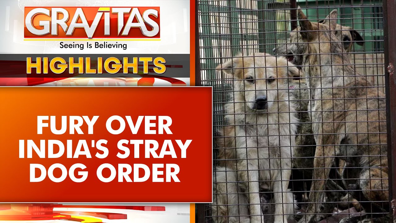 Supreme Court To Re-examine Stray Dog Order, CJI Constitutes 3-Judge Bench | GRAVITAS Highlights