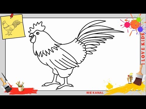 Huhn zeichnen schritt für schritt für anfänger & kinder - Hahn zeichnen 4