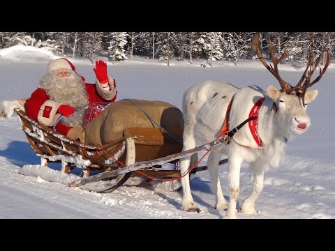 Papá Noel: los mejores viajes en reno 🎅🦌 Best-of Santa Claus para los niños Laponia Finlandia