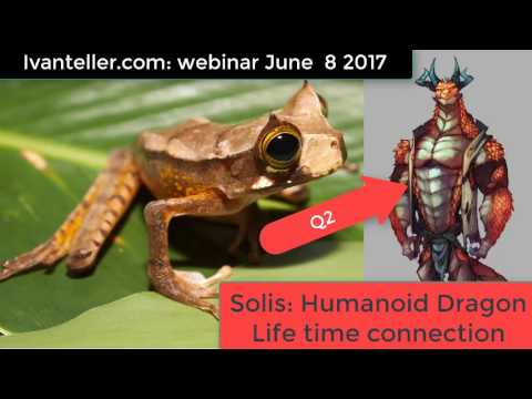 MSG: Amphibian  Connection, Humanoid Dragon Incarnation connect