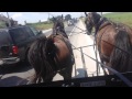 Funny Horse Poops On Horse And Buggy Ride