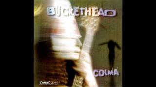 Buckethead - Machete - Colma