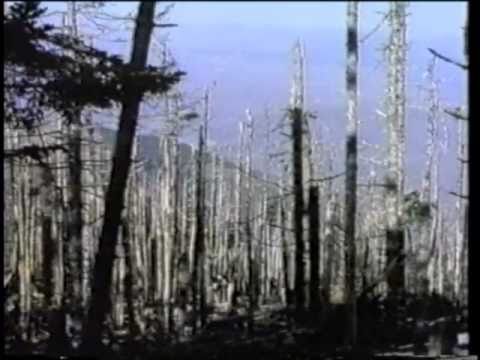 Stopping the Coming Ice Age