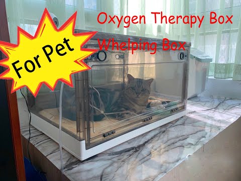 Dog and Cat Oxygen Therapy Box Pet Whelping Box for Puppy Kitten Nebulization Oxygen Box