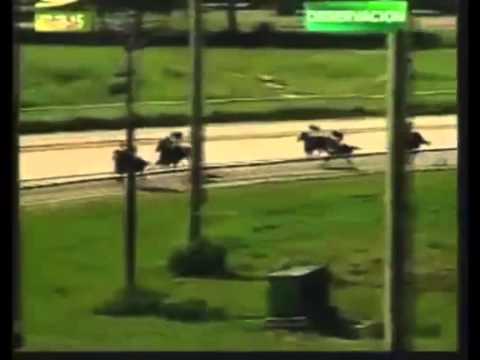 VALENCIA 6 CARRERA, VIERNES 07 DE AGOSTO DEL 2015