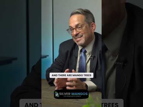 The Origin of "Silver Mangos"