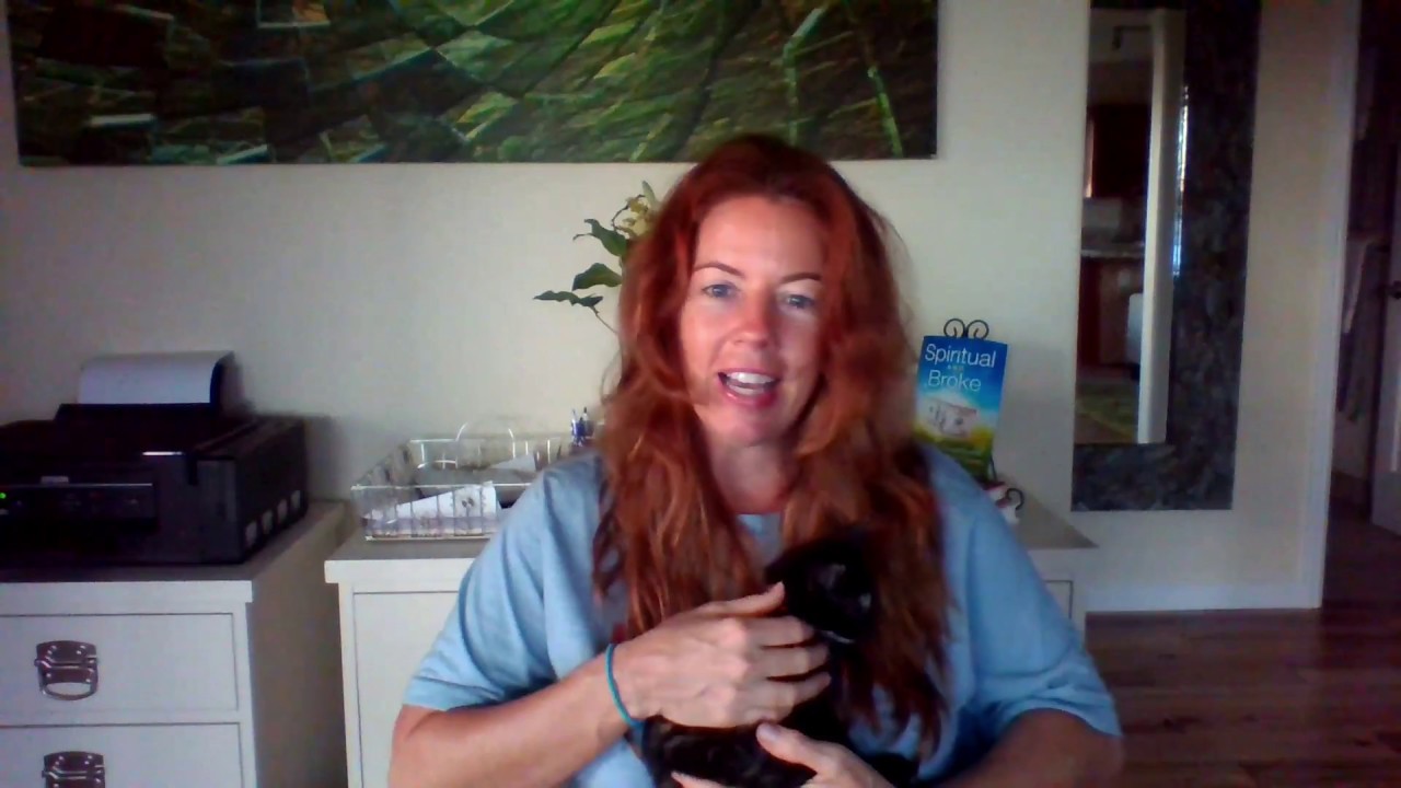 Quantum-Touch and Pets