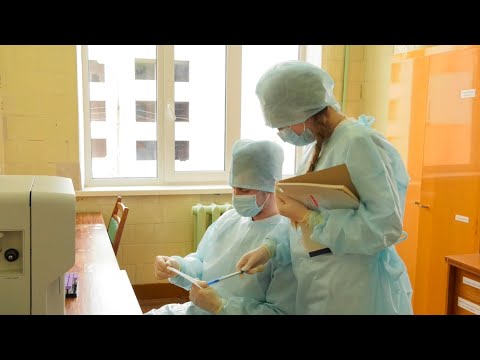 Более 230 студентов Гомельского медуниверситета помогают врачам лечить больных COVID-19 видео