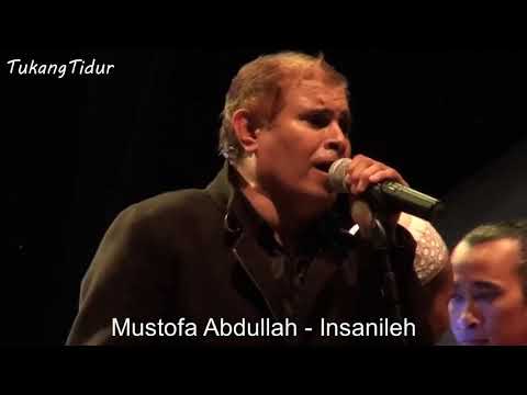 Insanileh - Mustofa Abdullah