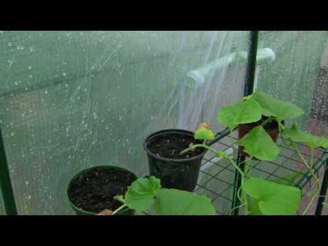 Pluie et orage léger au Jardin sous toit (serre) 2 h. - Rain sounds Garden roof (2 hours) - HD ASMR