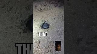 Would you do this??#australia #fish #waterhole #monster #bigwaaaam #subscribe #fishing #like #share