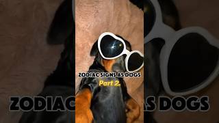 The zodiac signs as dogs (part 2) #zodiacsigns #funnydogs #astrology