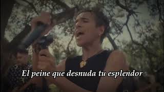 Quiero Ver - Café Tacvba [Letra]