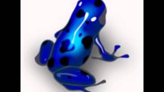 Jean Luc Ponty Blue Mambo (No Absolute Time)