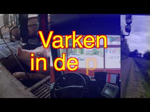 varken in de put