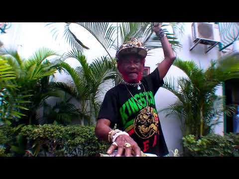 Lee "Scratch" Perry + Subatomic Sound System | Super Ape Returns To Conquer New Ark Subatomic Energy