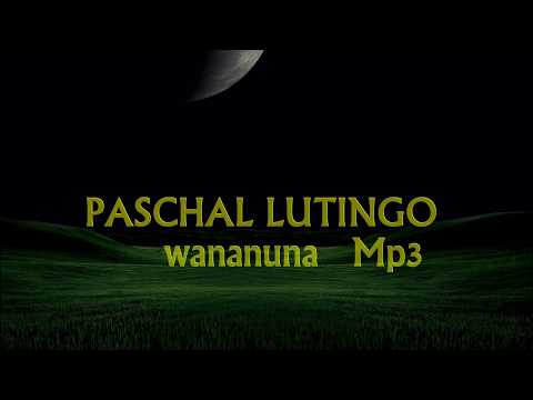 download lagu mp3 mp4 Lutingo, download lagu Lutingo gratis, unduh video klip Lutingo