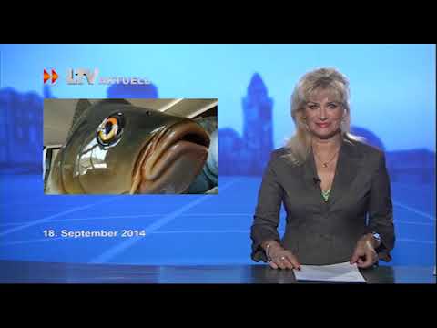 LTV am Donnerstag - 18.09.2014