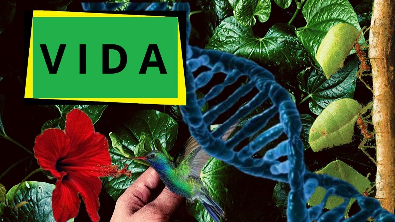 Biologia: A ciência da vida