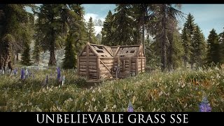 Skyrim SE Mods: Unbelievable Grass SSE