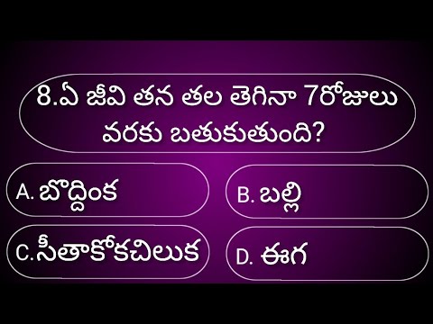 General knowledge Quiz|GK Quiz Telugu|Interesting facts|Episode-11|Unknown facts|Study Gk