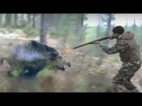 Необычные случаи на охоте! Нападение Зверей на Охотников
