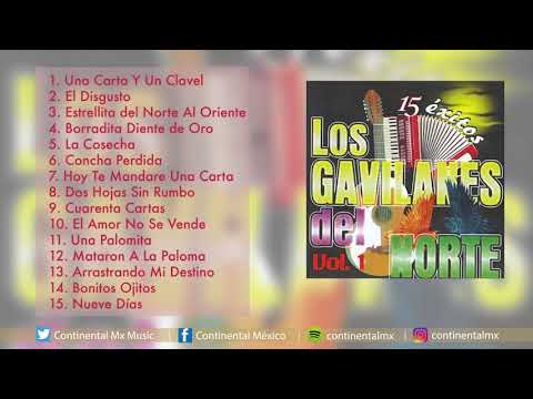 01 UNA CARTA Y UN CLAVEL   LOS GAVILANES DEL NORTE