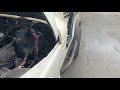 IMG 4202