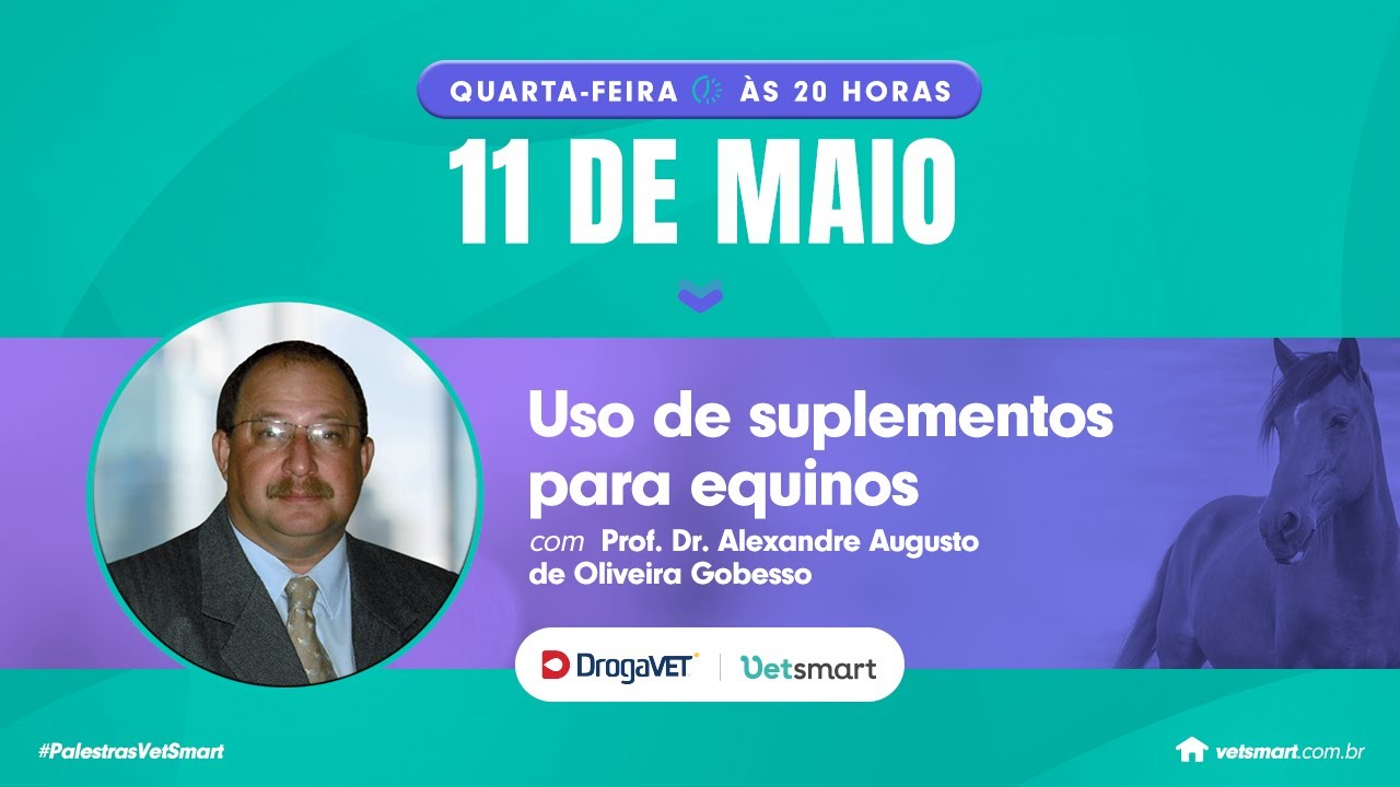 Uso de suplementos para equinos