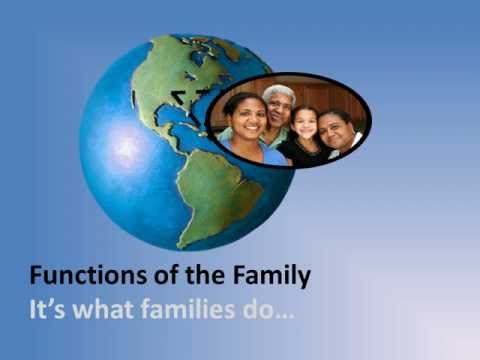 Functions of the Family