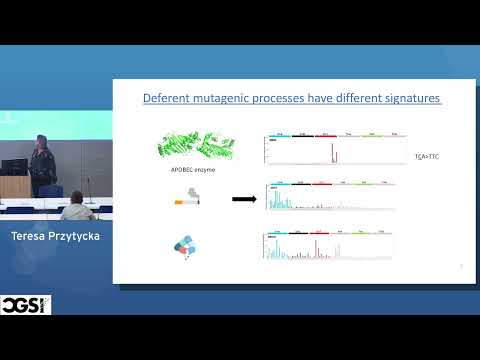 Teresa Przytycka | Mutational Signatures – form methods to mechanisms | CGSI 2022