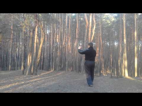 Cheng style baguazhang 1st, 2nd and 3rd palm changes | 程氏八卦掌