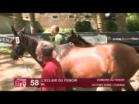 Sprinter Sacré Show 2021 : Lot 58 - L'Eclair Du Fenoir