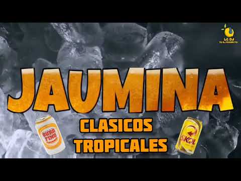 CLASICOS TROPICALES ❌️ JAUMINA ❌️ VIERNES ❌️ LG DJ