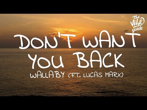Wallaby - Don't Want You Back (Lyrics) ft. Lucas Marx