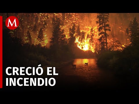Continúa activo incendio forestal en el Ejido Zaragoza, Ciudad Valles