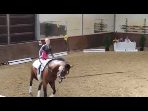 Voltigieren Wildenburg - Junior Einzel - Angelina Heub - LM Heiligenwald 2014