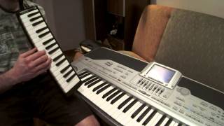 Video thumbnail for Autumn leaves cover melodica hohner student 32 by Olek Kowalski
