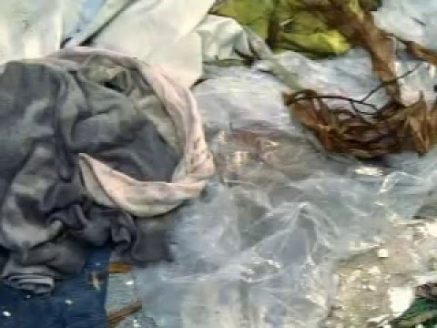 csi miami video clip