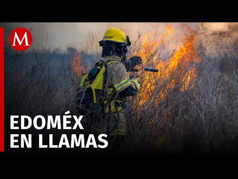 Se registra incendio en el parque Sierra de Guadalupe en Tultitlán, Edomex