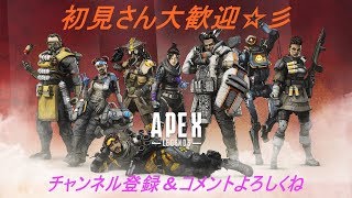 【生放送】レベルMAXまであと少し！BullのApex Legends 2000ダメージを目指す道のり！！
