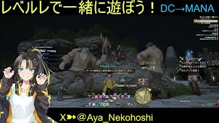 【#FF14】レベルレで一緒に遊ぼう！