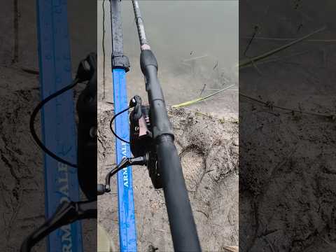 Recenzja Robinson Stinger X Cross Feeder już niebawem na kanale 🎥💪 #fishing#methodfeeder#carpfishing